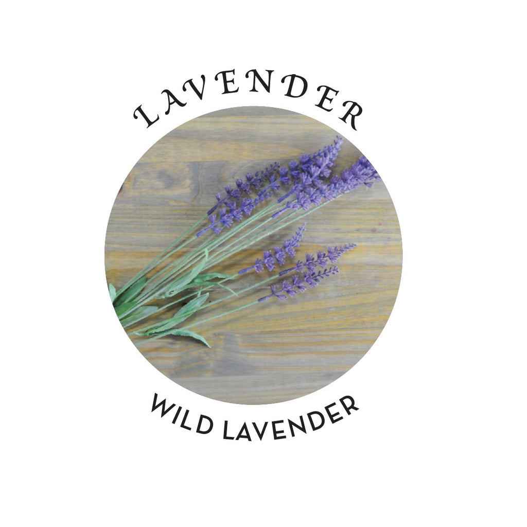 CBD Daily Intensive Cream Original Strength Lavender 175 mg