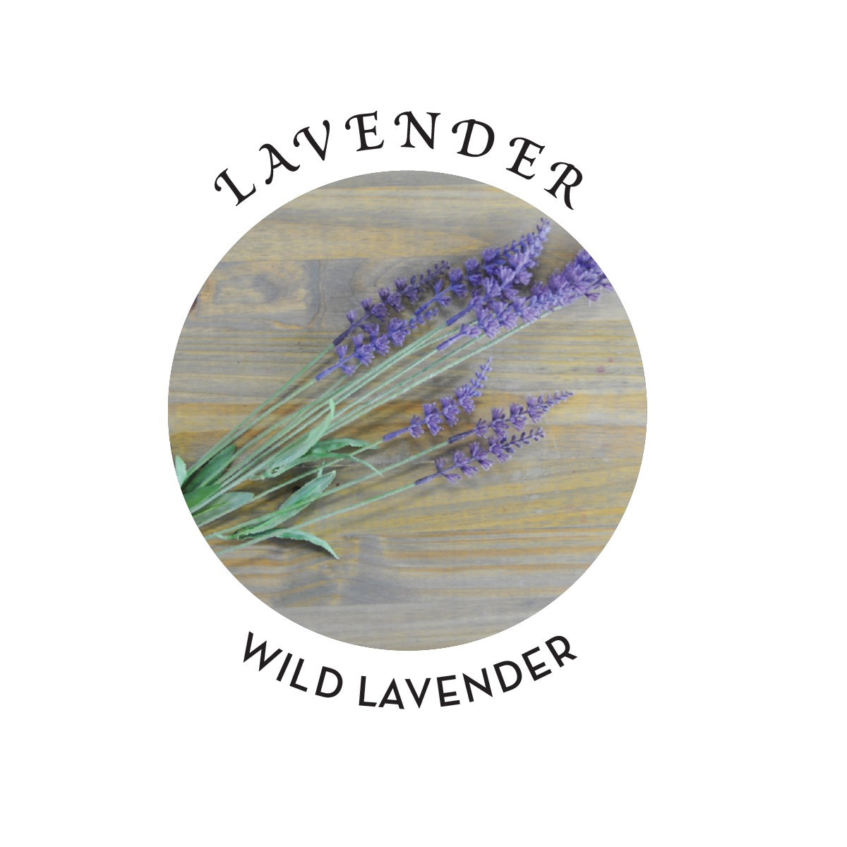 CBD Daily Lavender Massage Candle 60mg